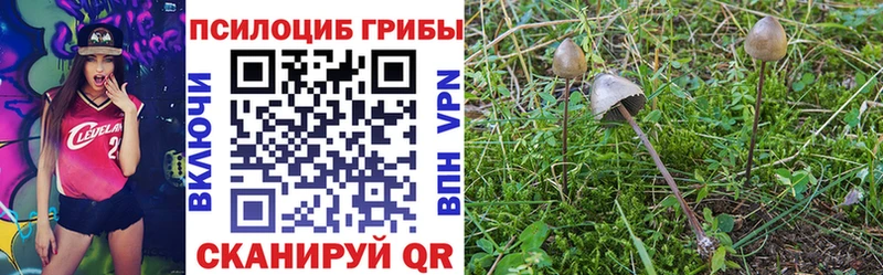 Псилоцибиновые грибы ЛСД Котельники