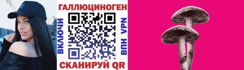 blacksprut ONION  Котельники  Галлюциногенные грибы Magic Shrooms 